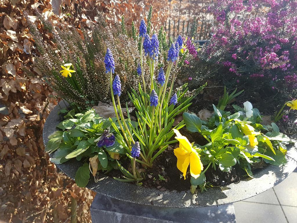 De Eikensingel 호텔 우델 외부 사진